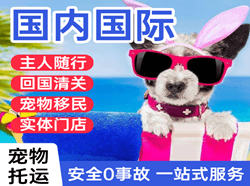 三沙永兴空运公司国际宠物托运 【国